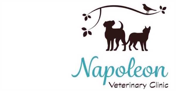 Napoleon Veterinary Clinic Inc