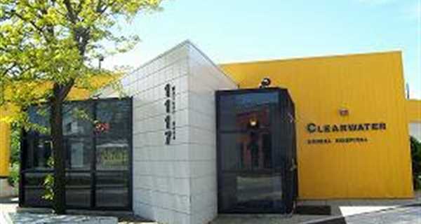 Clearwater Animal Hospital